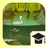 iBiome-Wetland: School Edition