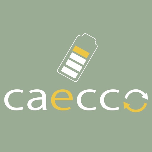 tokai caecco