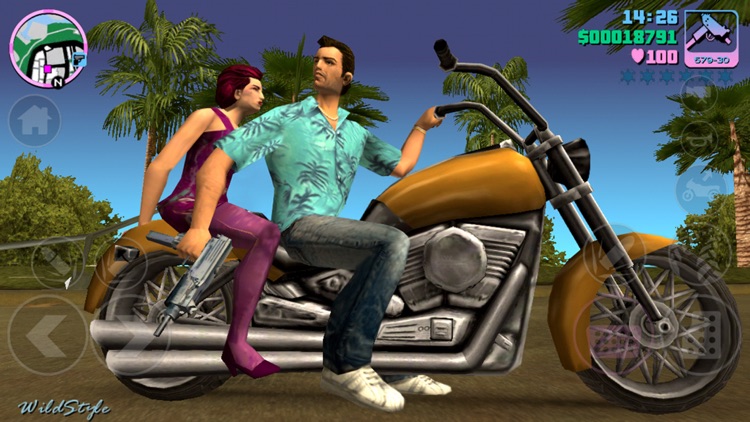 Grand Theft Auto: Vice City screenshot-3