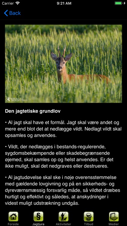 NetNatur screenshot-3