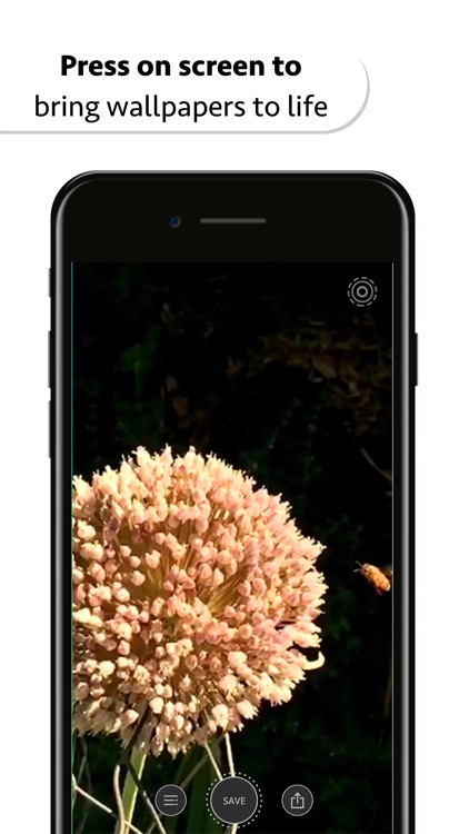 10000+ Wallpapers & Themes screenshot-5