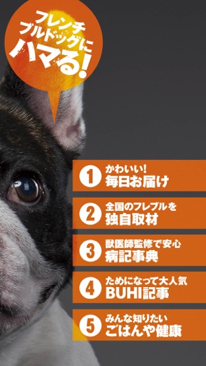 French Bulldog Life(圖2)-速報App