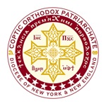 NYNEcopts