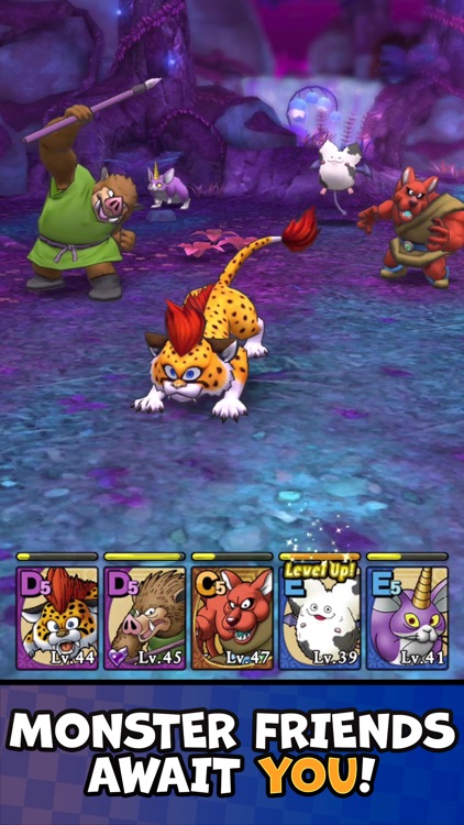 DRAGON QUEST TACT