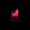 Sheffield Conference
