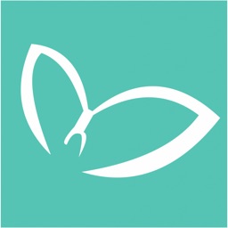 Pilates Inside Studio