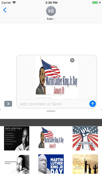 Martin Luther King Stickers