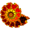 Magic Fractals
