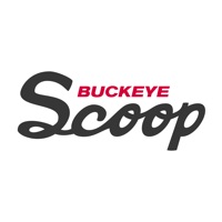 Buckeye Report Avis