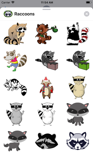 Raccoons(圖1)-速報App