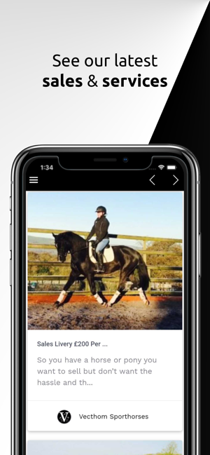 Vecthom Sporthorses(圖4)-速報App