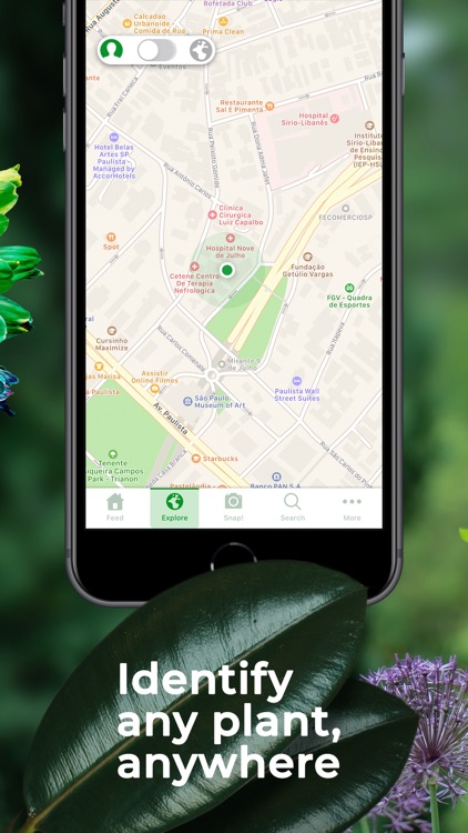PlantSnap Pro: Identify Plants screenshot-4