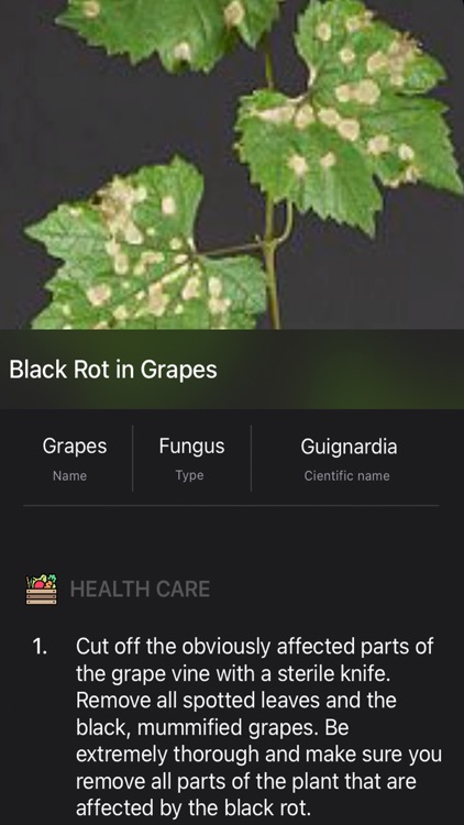 Plants Diseases Identifier screenshot-7