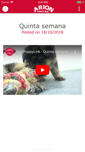 PuppyLink(圖6)-速報App