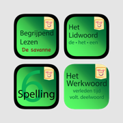 Magiwise - Taal voor groep 6 t/m 8