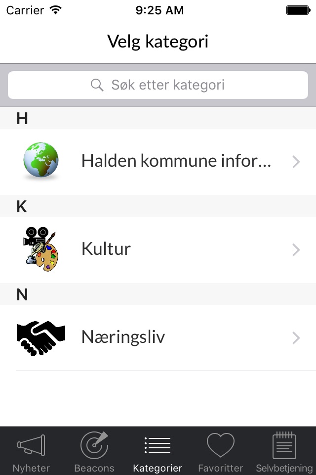 Halden kommune screenshot 2