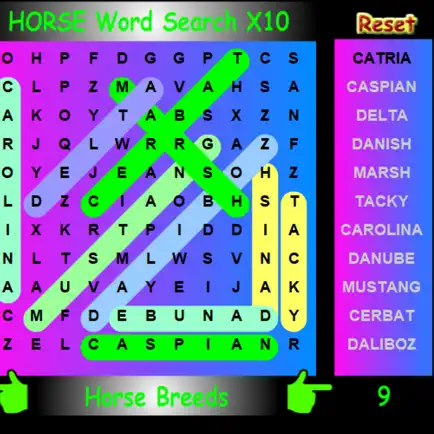 SLX Horse Word Search Читы