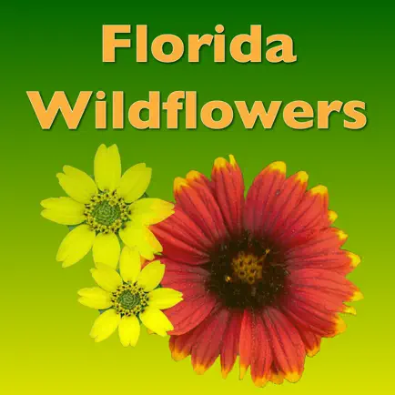 Southern Florida Wildflowers Читы