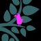 In the puzzle game Words for a Bird, you’ll see a white box with some of the letters you’re looking for