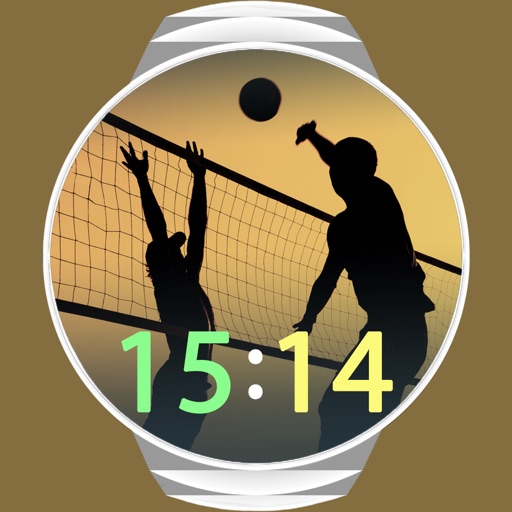 VolleyWatch Icon