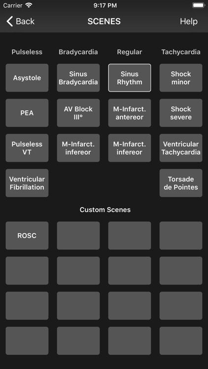Medical Rescue Sim Remote screenshot-9