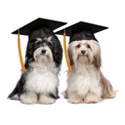 Top 28 Business Apps Like K-9 University - Best Alternatives