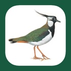 Top 38 Reference Apps Like Germany and Switzerland Birds - Best Alternatives