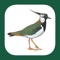 This app is an interactive companion to the book "The Handbook of Bird Identification for Europe and the Western Palearctic" – the comprehensive book for birdwatchers interested in the region