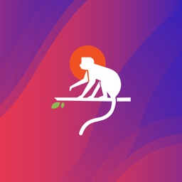 Little Prodigy Books