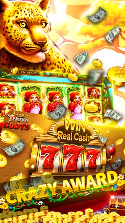 Slots Casino-Casino Slots Game screenshot-3