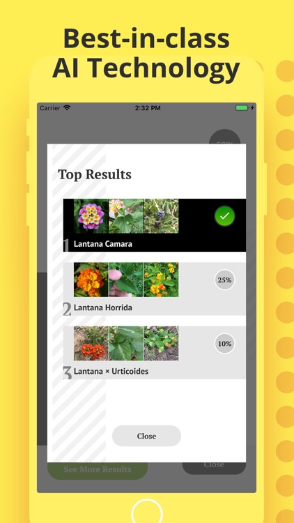 Plant Identification screenshot-3