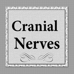 Cranial Nerves Plus