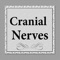 The app covers more than 180 slides, terms, video, three presentations, and quiz in almost all cranial aspects, including anatomy, physiology, images, ppt, video, terms, and details