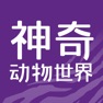 Get 神奇动物世界-趣味动物科普 for iOS, iPhone, iPad Aso Report