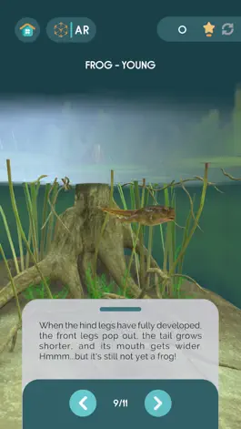 Game screenshot MORPHOO Learning App hack