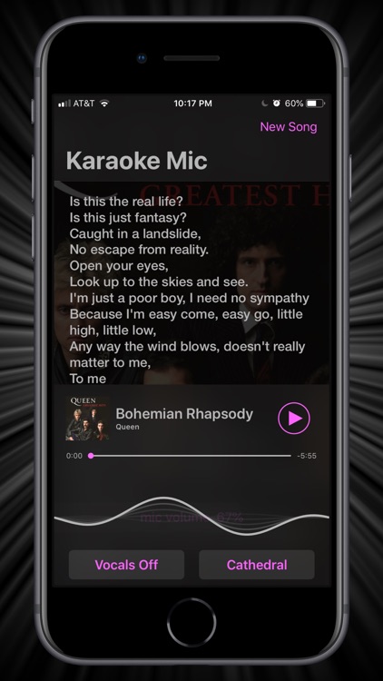 Karaoke Mic | VonBruno