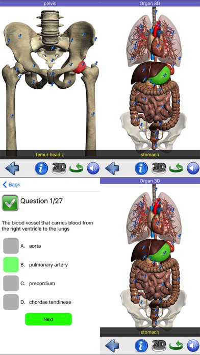 Visual Anatomy Screenshot 8