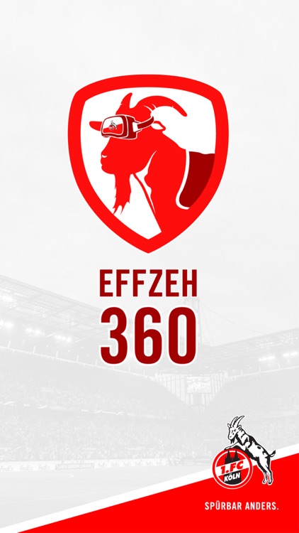 EFFZEH 360