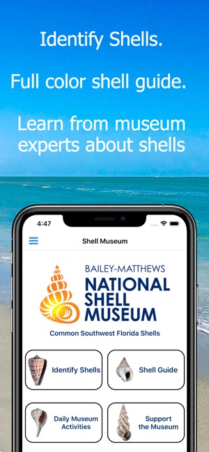 Shell Museum: Identify Shells(圖1)-速報App