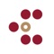 CASA Deals is the official app for the Concordia sector in Montreal and allows you to save up to 75% on your meals to restaurants around the campus