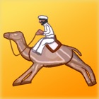 Camel Racing at the fairground