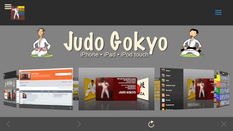 Judo Gokyo screenshot-8