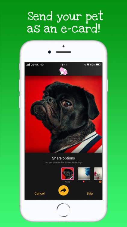 My Talking Pet screenshot-4