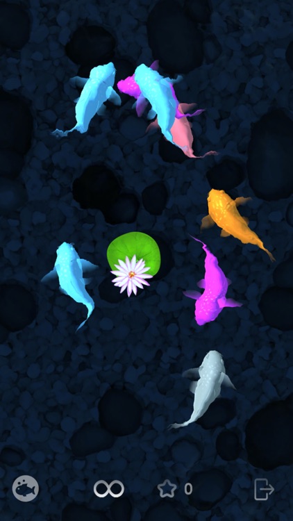 Cat Fishing 2