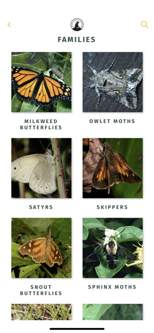 NWF Guide to Butterflies(圖2)-速報App