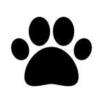댕댕날씨 - 강아지 산책 캠핑 야외활동을 위한 앱
