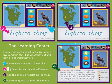 Animals of North America - náhled