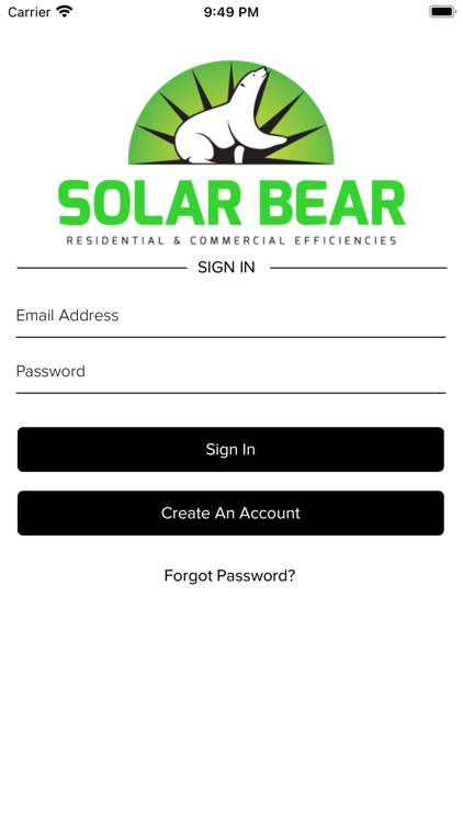 Solar Bear