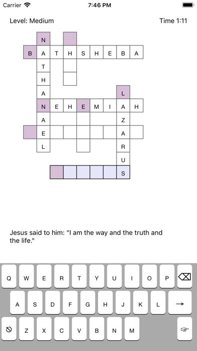 NWT Crossword screenshot 3