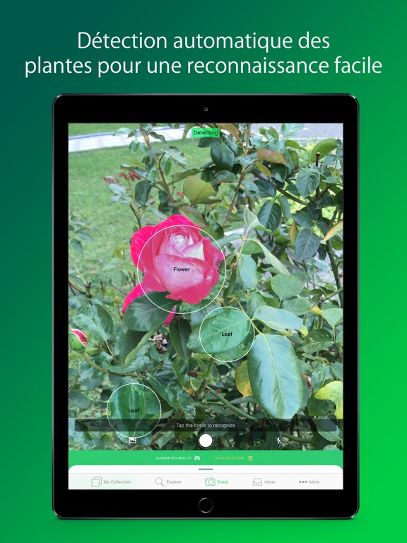 Screenshot #5 pour PlantSnap Pro: Identify Plants